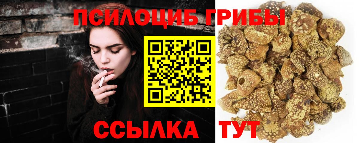Ессентуки  Галлюциногенные грибы GOLDEN TEACHER  Вход с VPN 